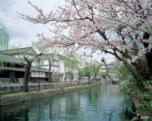 Kurashiki2